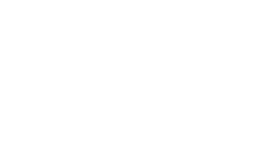 anphibius