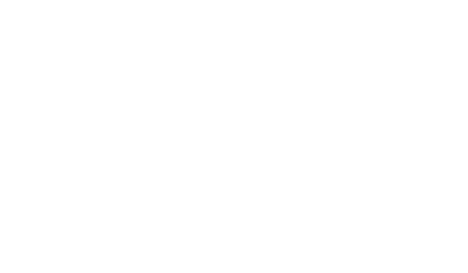 pienso-y-mascotas