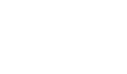 roberto-garrudo