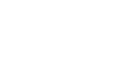 toysrus
