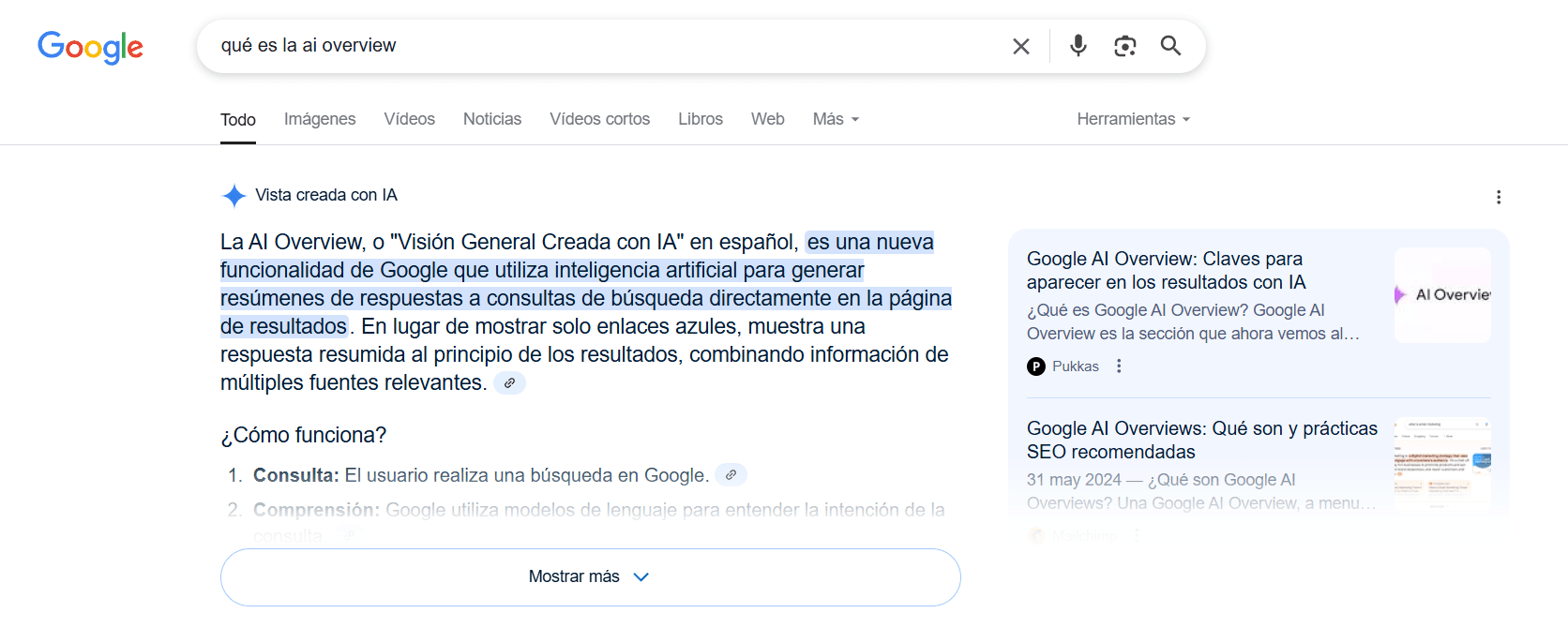 que es la ai overview