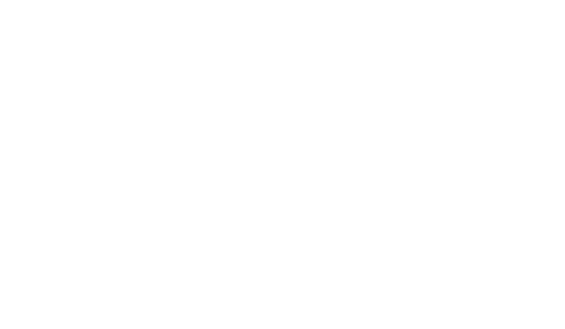 aristarun