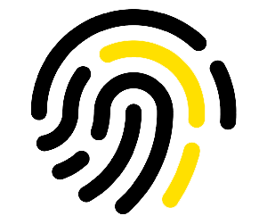 estrategias-adaptadas