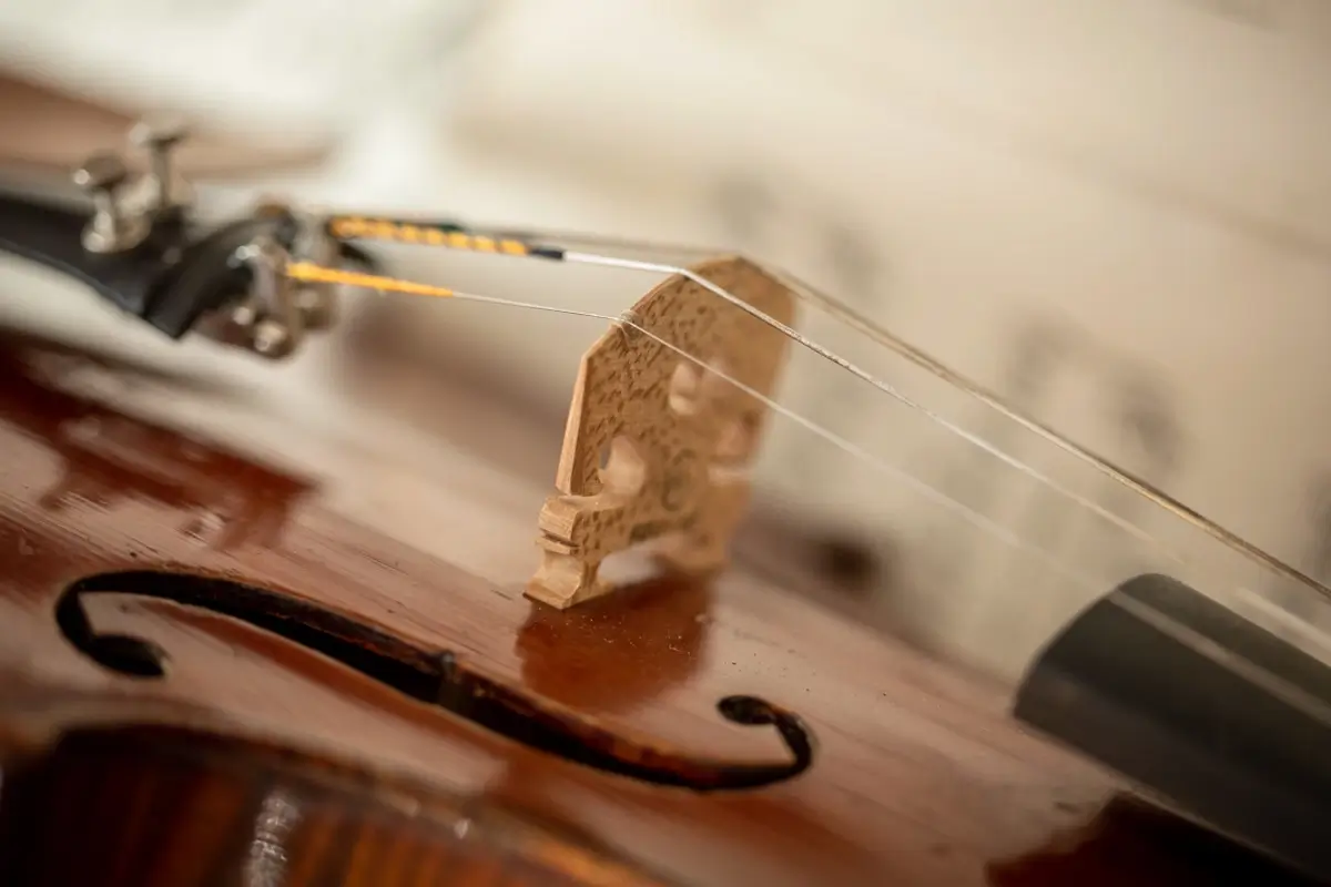Proyecto de Amarillo Limón para Valencia Violins